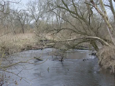 Łódzki Szlak Konny
