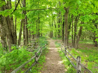 Wales Trail