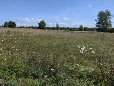 NS Pozorovatelna