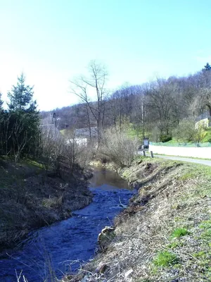 Dębowa