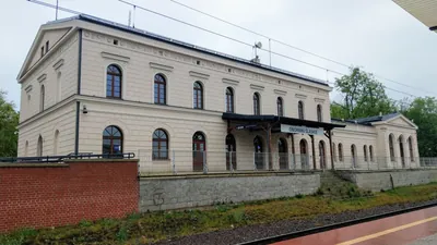 Leśny Szlak Rowerowy - Sosnowy