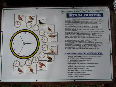 Wokół Tyńca