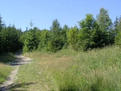 [Ž] Metylovická hůrka - Kubalánky