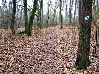 Ścieżka dydaktyczna "Dolinką Roztoki"