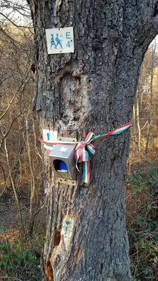K■ (Nagyhuta – Eszkála-rét)