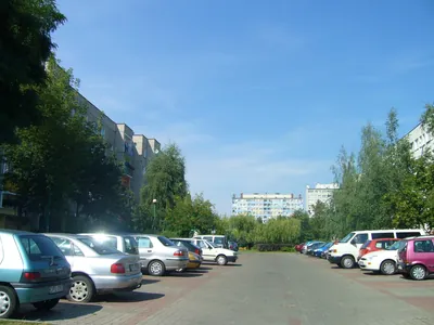 Dookoła Polkowic