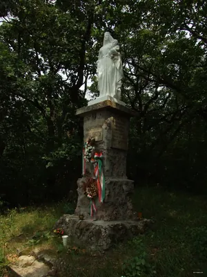 Z● (Vaskapu-erdő – Holop-kút – Barti-kút)