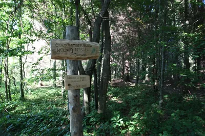 Szlak konny