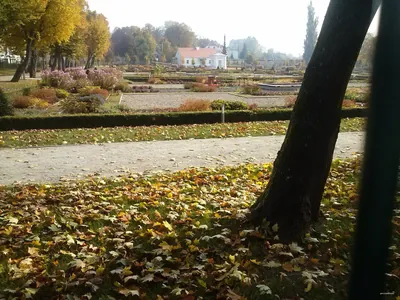 R-1 Szlak im. Ryszarda Walerycha