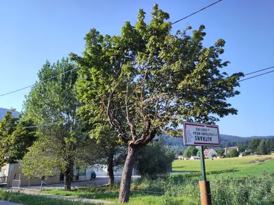 67:11 DEPART AUTRAN