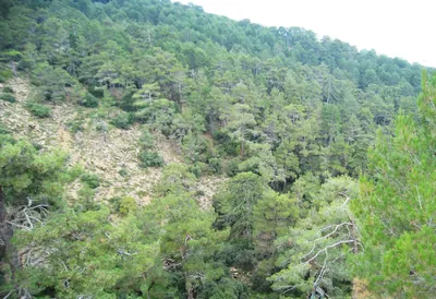K1.5 hike