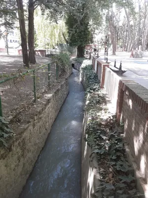 Recorrido por el humedal de Loreto