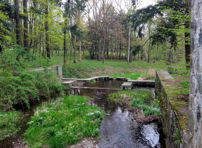 Suliwoods Kross Trail