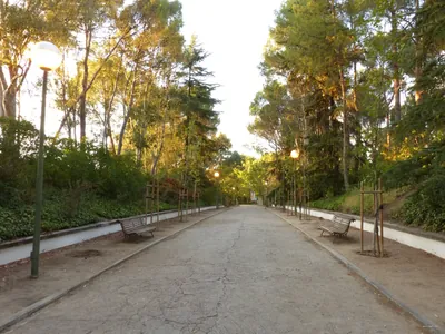 Camino de los Molinos
