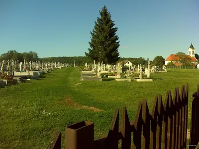 Zöldutak 12