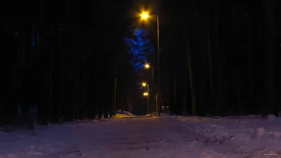 Jezioro Płocie - Czerwonak