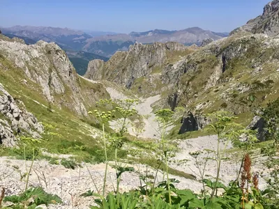 Očnjak