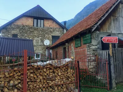 Zla Kolata
