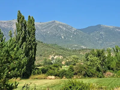 Campo - Castell de Sin