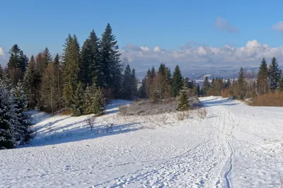 szlak niebieski