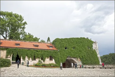 Pieskowa Skała - Jaskinia Łokietka