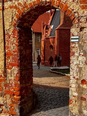 Strzelce - Ząbkowice Śląskie