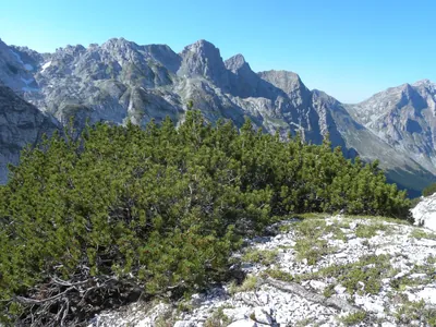 Maja e Jezerces
