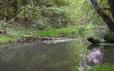 Szlak Rowerowy Ujścia Liswart