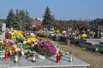Biesiadczańskie Wydmy - trasa krótka