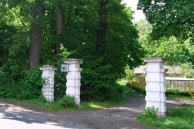 niebieski