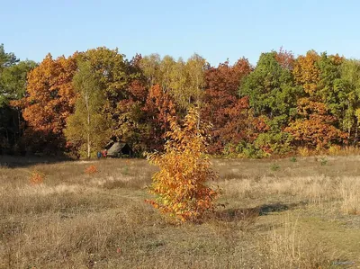 Ścieżka dydaktyczna "Wokół Opalenia"