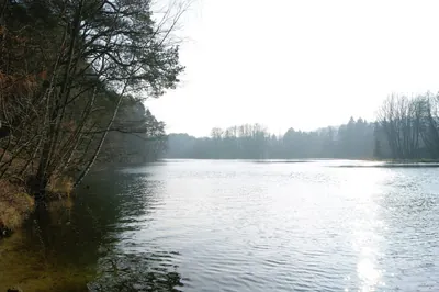 Bydgoszcz-Koronowo