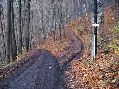 Via Czechia - Severní (5. Ještědský hřbet)