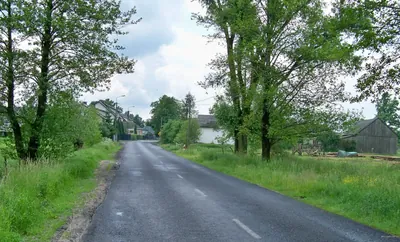Łącznik ponurzycki