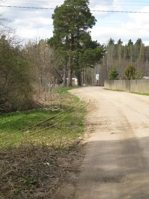 zielony Czarna Białostocka - Kruszyniany