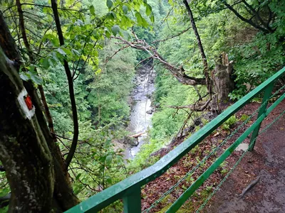 [Ž] Kamenického stezka - U Bakala (vyhl.), odbočka