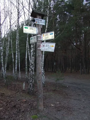 Ścieżka spacerowa przez Łużową Górę