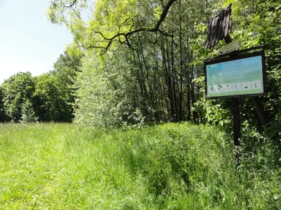 Ścieżka przyrodniczo-dydaktyczna "Góra Bucze" w Górkach Wielkich