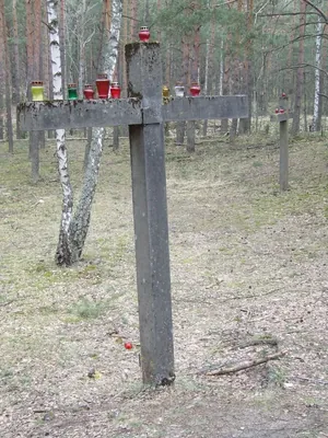 Ścieżka dydaktyczna "Wokół Palmir"