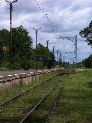 Kołbiel, PKP - Zabieżki, PKP