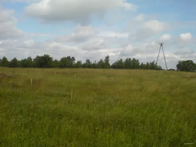 Szlak Kormoranów