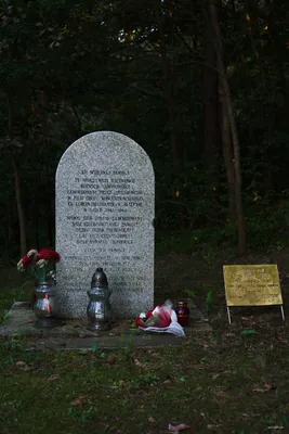 Piekielna Pętla (Czas w Las)