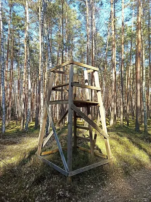 Popielów - Pokój