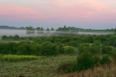 Szlaki Lasów Miejskich Krakowa - Uroczysko Górka Pychowicka (dojście)