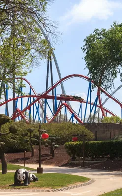 Dragon Khan