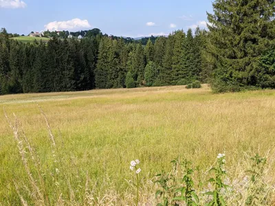 NS Přírodní rezervace Bukovec a nejvýchodnější bod ČR