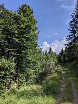 6083 Komorní Lhotka - Oldřichovice u Třince