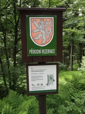 NS Okolím Deštného