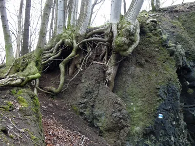 Dědek - Vyhlídka