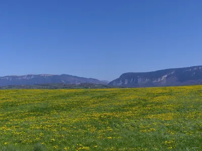 VTT FFC Albanais N° 13 - En passant par la Deysse (vert)